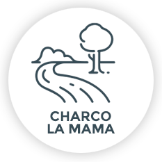 Icono Charco de La Mama